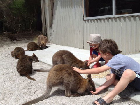The Patriarch Wildlife Sanctuary Camping Ground - Tourism Canberra 0