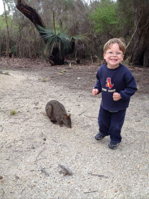 The Patriarch Wildlife Sanctuary Camping Ground - Tourism Canberra 1