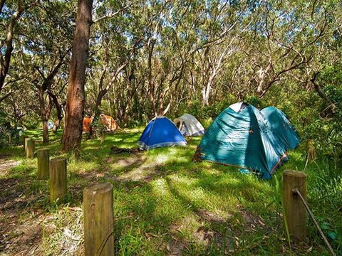 Yagon Campground - Tourism Canberra 3