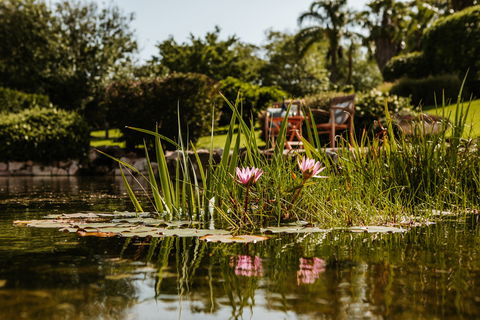 Yellow Dog Cottage - Tourism Canberra 8