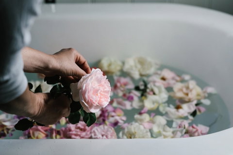 Acre Of Roses - Tourism Canberra 5