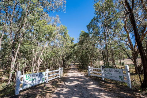 Bandalong Cottages - Tourism Canberra 0