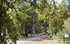 Bandalong Cottages - thumb 1