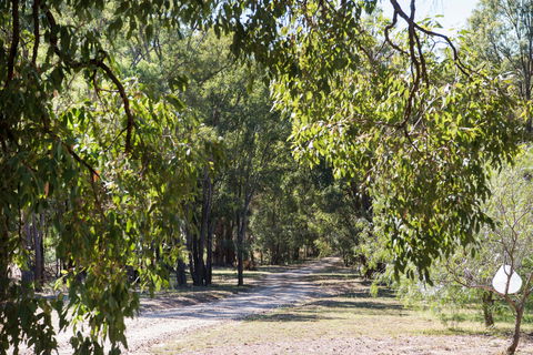 Bandalong Cottages - Tourism Canberra 1