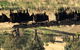 Bibbaringa Shearers Quarters And The WoolShed - thumb 9