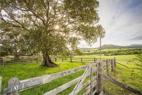 Bo-Warra Farmstay - Tourism Canberra 2