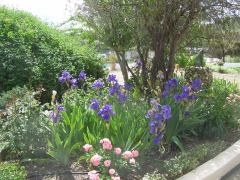 Garden Motor Inn (Golden Chain) - Tourism Canberra 7
