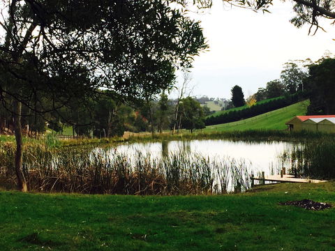 Gracefield Estate - Tourism Canberra 0