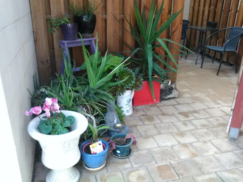 Hammersmith Corner Apartments - Tourism Canberra 2