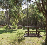 Illaroo group camping area - Tourism Canberra