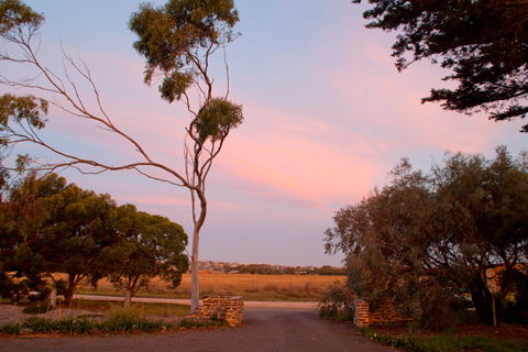 Jimmy Smith's Dairy - Tourism Canberra 9