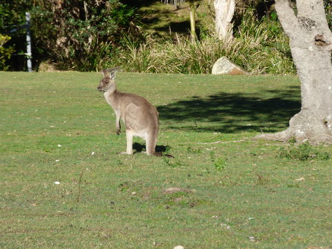 Little Bay Cottage - Tourism Canberra 2
