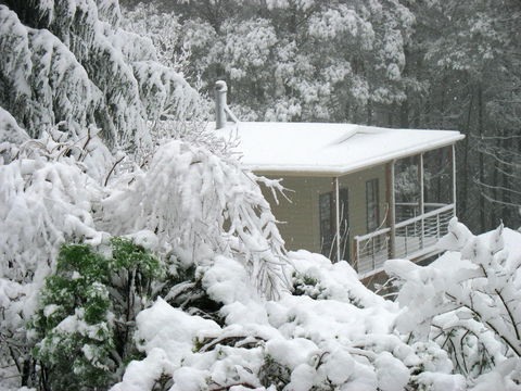 Lyrebird Cottages - Tourism Canberra 2