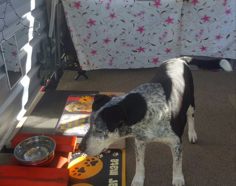 Meeniyan Motel And Bike Hire - Tourism Canberra 2