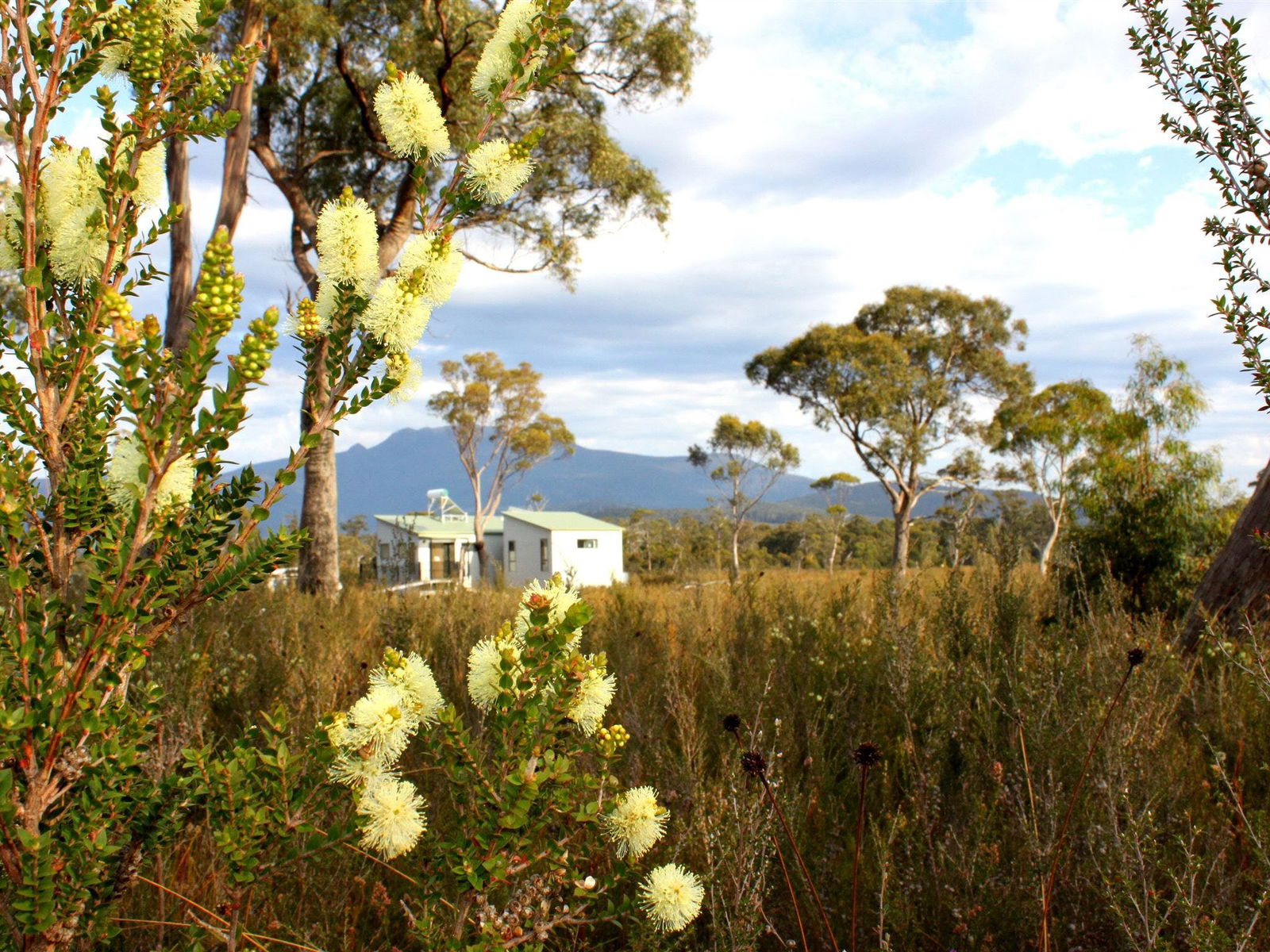 Ida Bay TAS Tourism Canberra