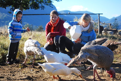 Cedar Glen Farmstay - Tourism Canberra 0