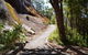Centre Road Crossing Camp At Mount Frankland South National Park - thumb 0