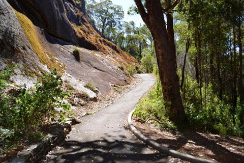 Centre Road Crossing Camp At Mount Frankland South National Park - Tourism Canberra 0