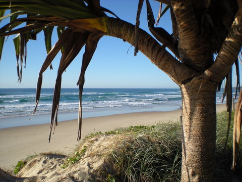 Horizons At Peregian - Tourism Canberra 0
