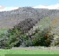 Jessica's Guest House and Vineyard - Tourism Canberra