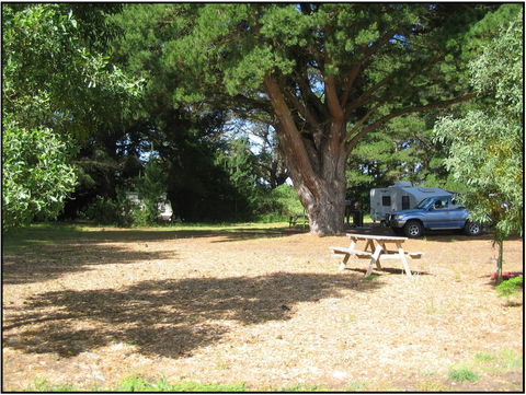 Millicent Hillview Caravan Park - Tourism Canberra 2