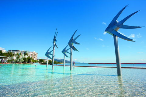 NRMA Cairns Holiday Park - Tourism Canberra 1