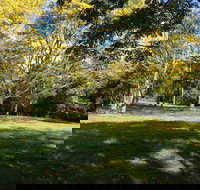 Scenic Rim Adventure Park - Tourism Canberra