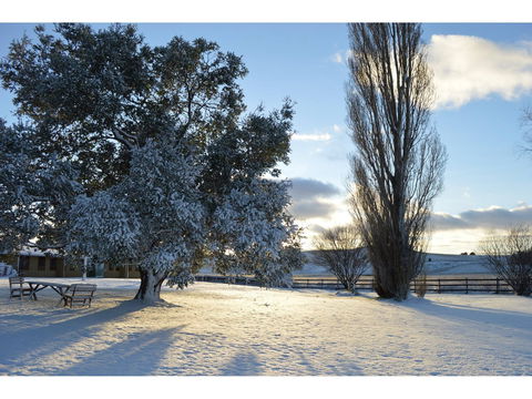 Snowy Mountains Resort - Tourism Canberra 0