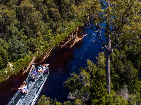 Tahune Adventures Tasmania - Lodge And Cabin - Tourism Canberra 1