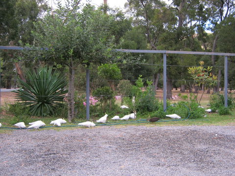Tim's Place - Tourism Canberra 1