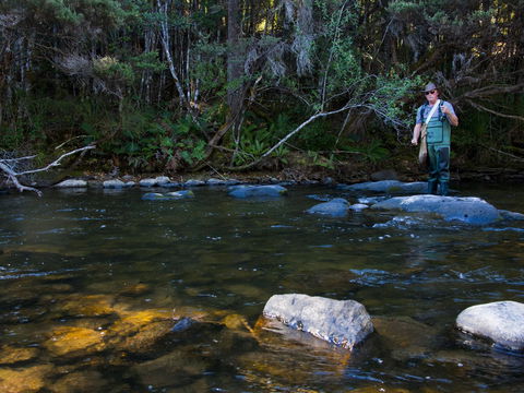 Tyenna River Cottage - Tourism Canberra 2