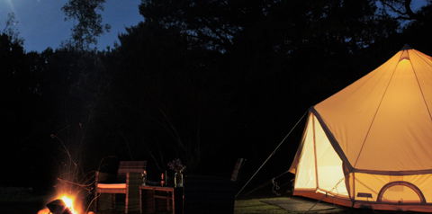 Zeehan Bush Camp - Tourism Canberra 1