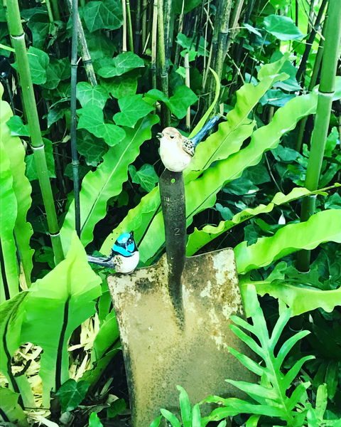 Aldgate Valley Bed And Breakfast - Tourism Canberra 2