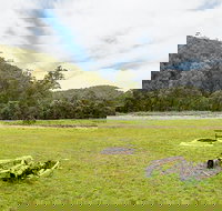 Blue Gums campground - Tourism Canberra