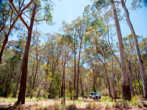 Coolah Tops National Park Camping - Tourism Canberra 0
