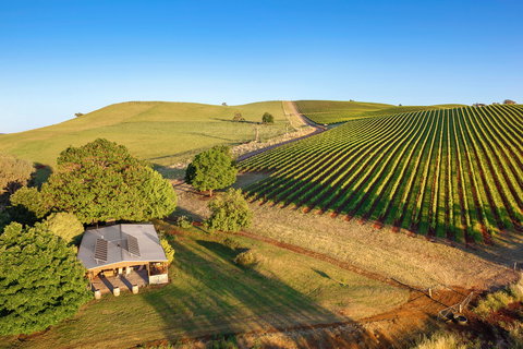 Mt Bellevue - King Valley - Tourism Canberra 0