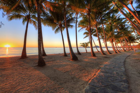 NRMA Palm Cove Holiday Park - Tourism Canberra 0