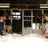 Pelican Sheep Station - Tourism Canberra