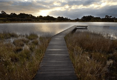 Hidden Valley Forest Retreat - Tourism Canberra 4