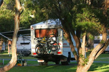 BIG4 Albany Gardens Holiday Resort - Tourism Canberra 3
