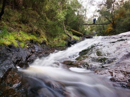 Karri Valley Resort - Tourism Canberra 2
