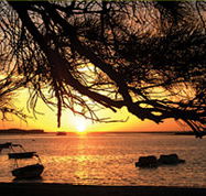 Pelican's Nest - Tourism Canberra