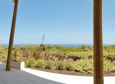 Redgate Beach Escape - Tourism Canberra 3