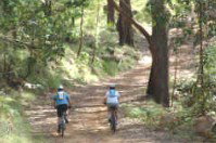 Craigmhor Mountain Retreat - Tourism Canberra 2