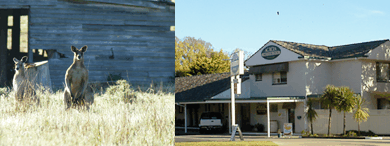 Acacia Motor Inn - Tourism Canberra 5