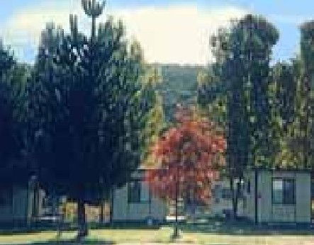 Anglers Reach Caravan Park - Tourism Canberra 0