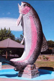 Anglers Reach Caravan Park - Tourism Canberra 3