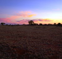Wogarno Homestead - Tourism Canberra