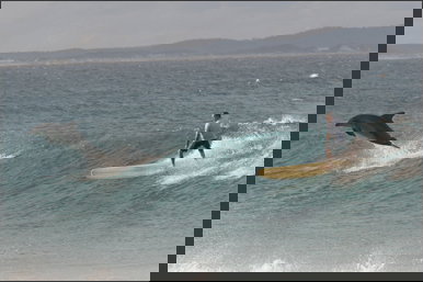 Spot X - Tourism Canberra 2