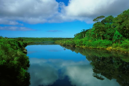 Nutkin Lodge - Tourism Canberra 3